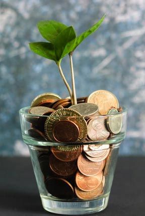 variable or fixed rate